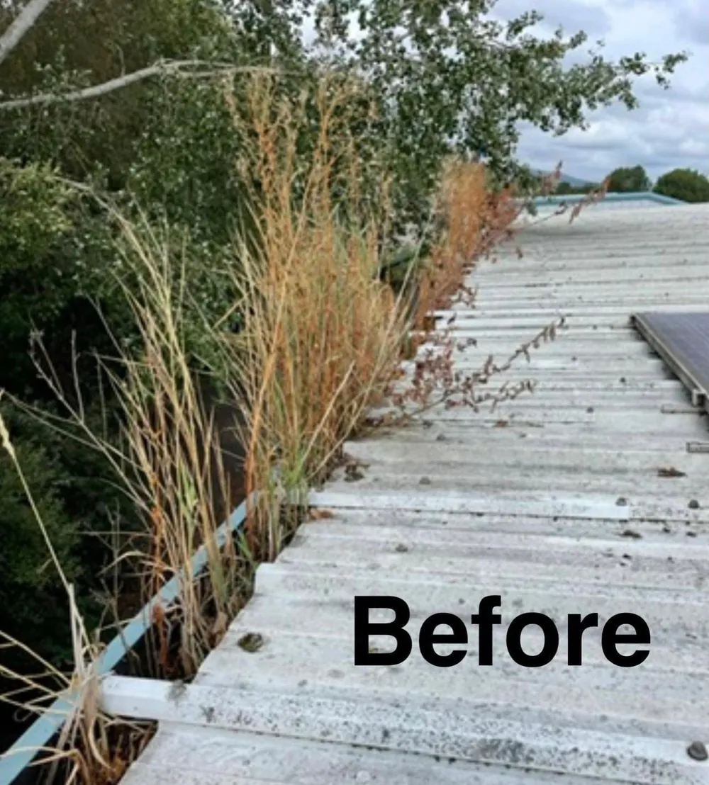 Before gutter clearing